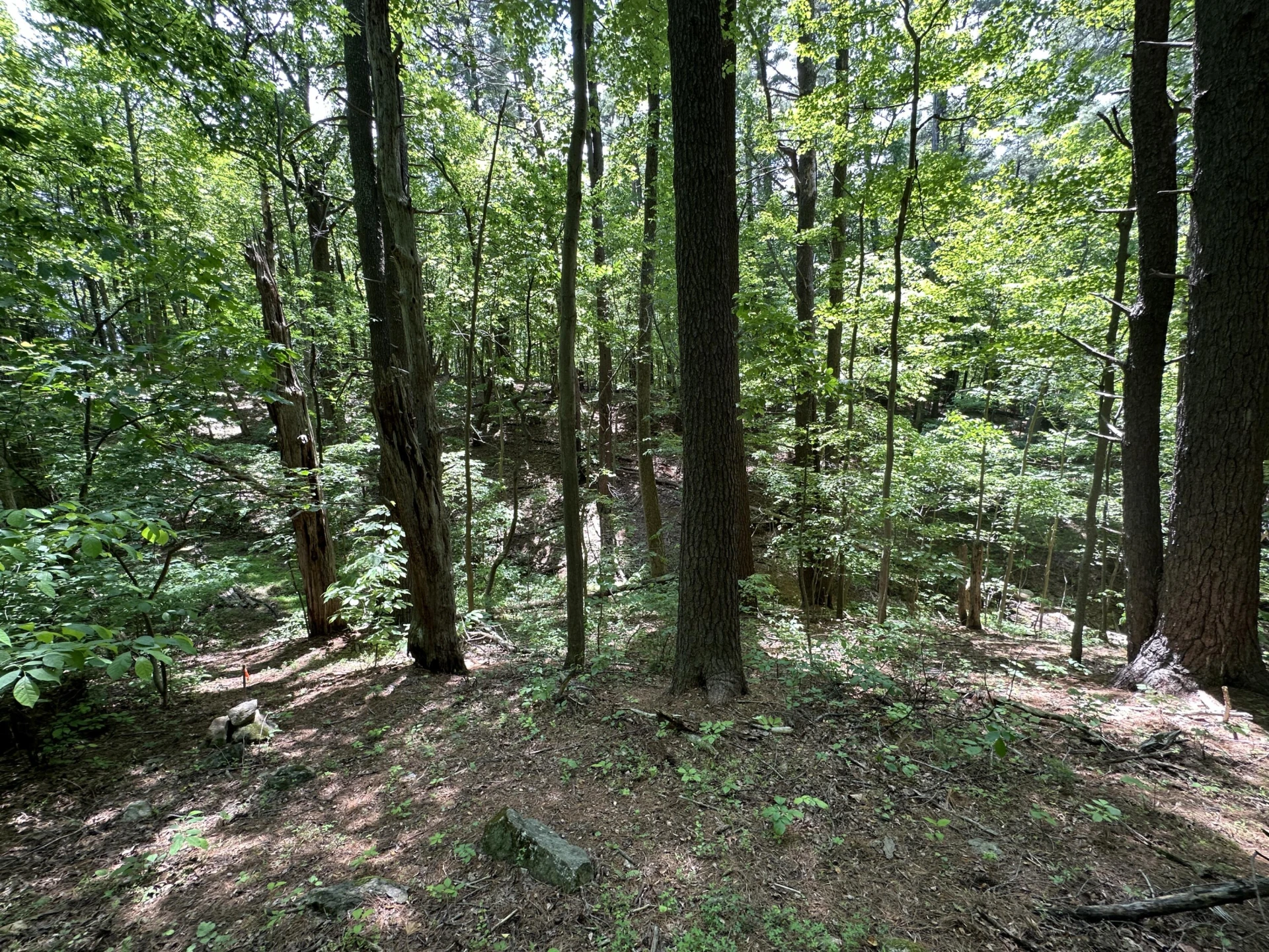 00 Mt Chestnut RD - Photo 14