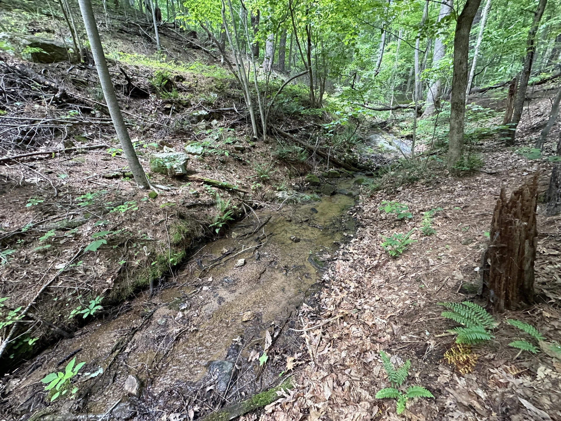 00 Mt Chestnut RD - Photo 19