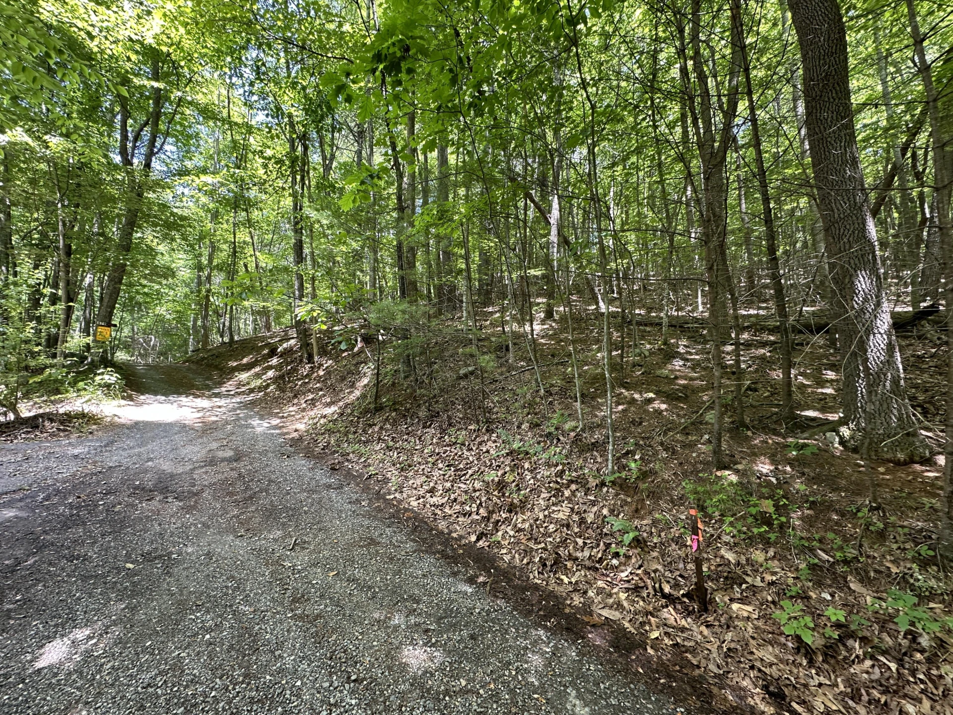 00 Mt Chestnut RD - Photo 2