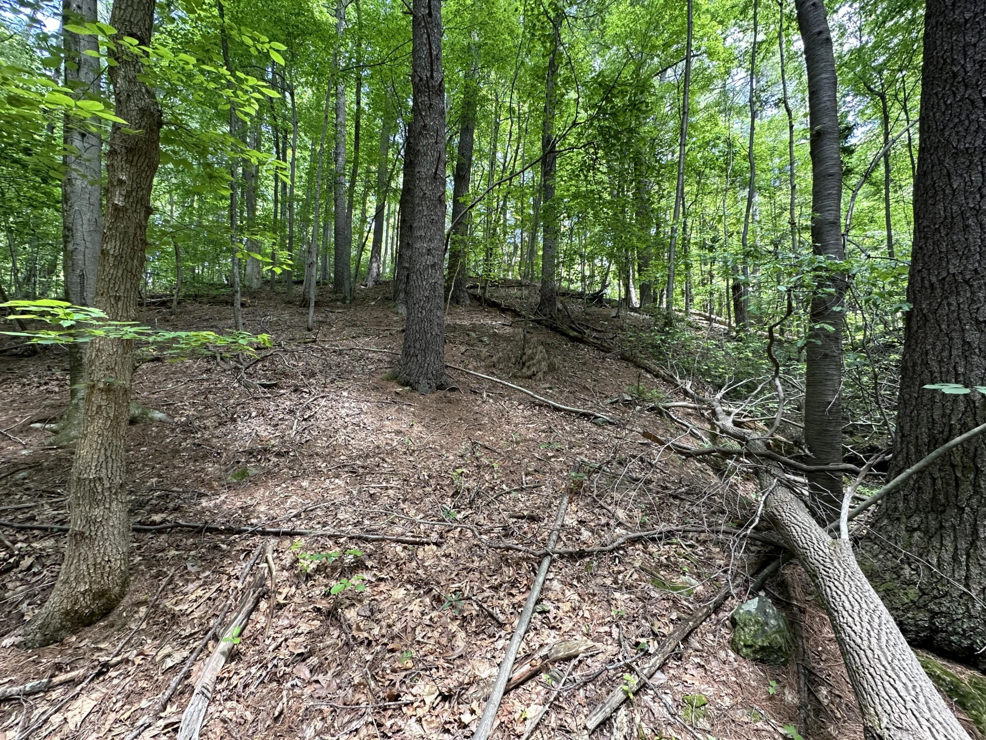 00 Mt Chestnut RD - Photo 21