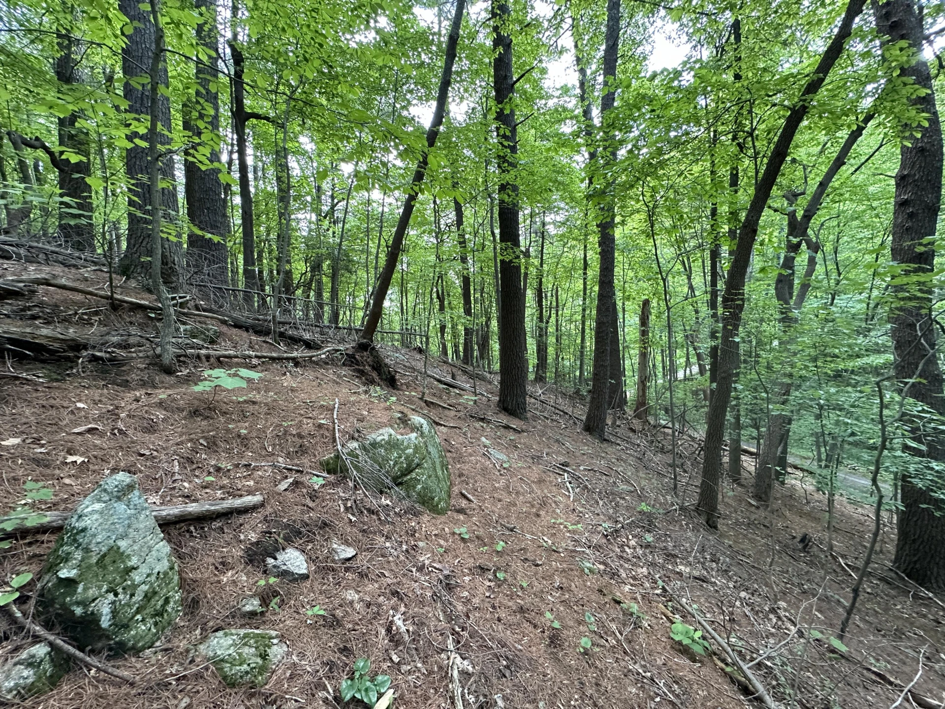 00 Mt Chestnut RD - Photo 22