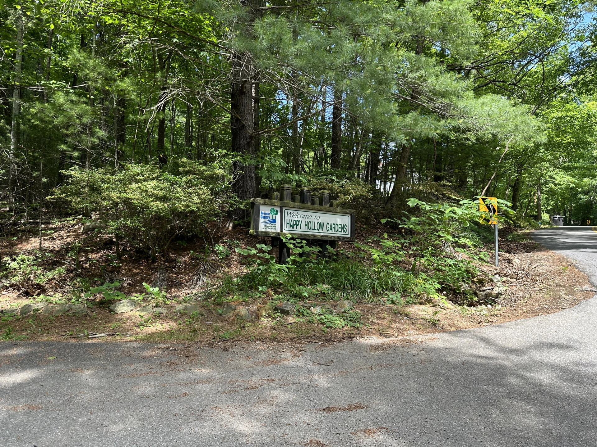 00 Mt Chestnut RD - Photo 25
