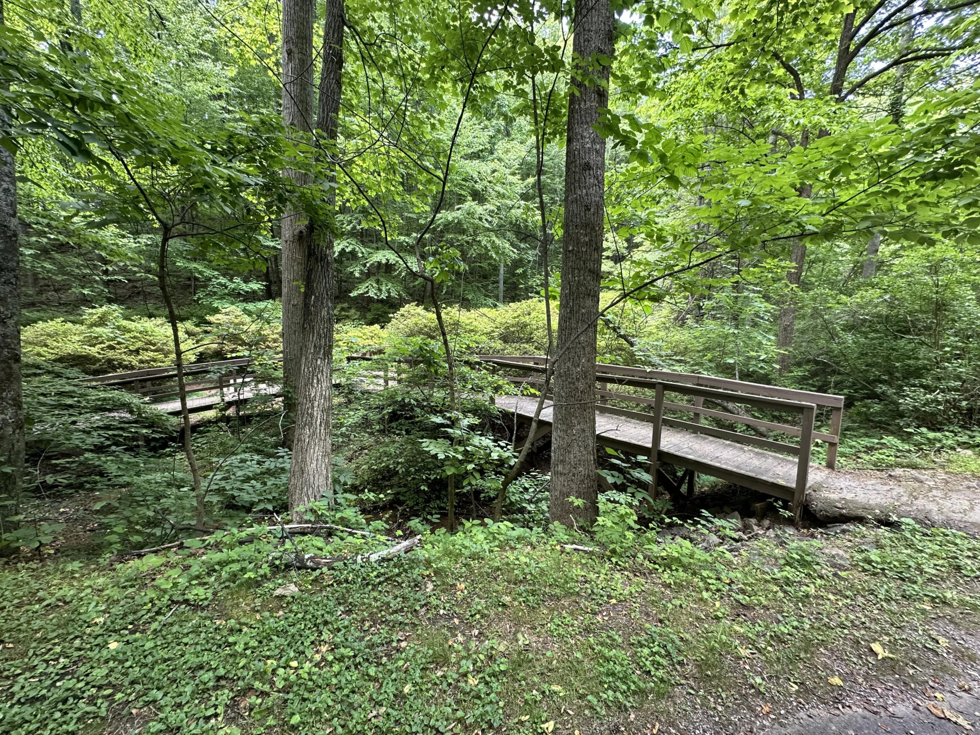 00 Mt Chestnut RD - Photo 27