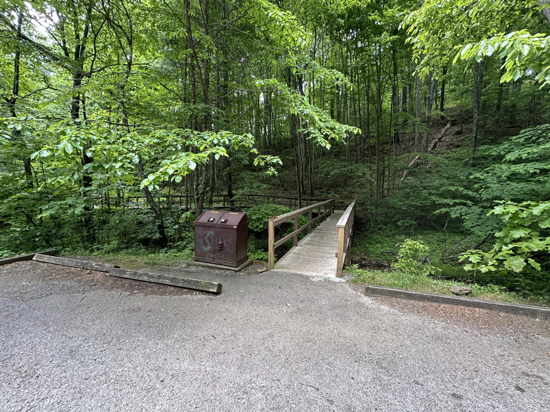 00 Mt Chestnut RD - Photo 28
