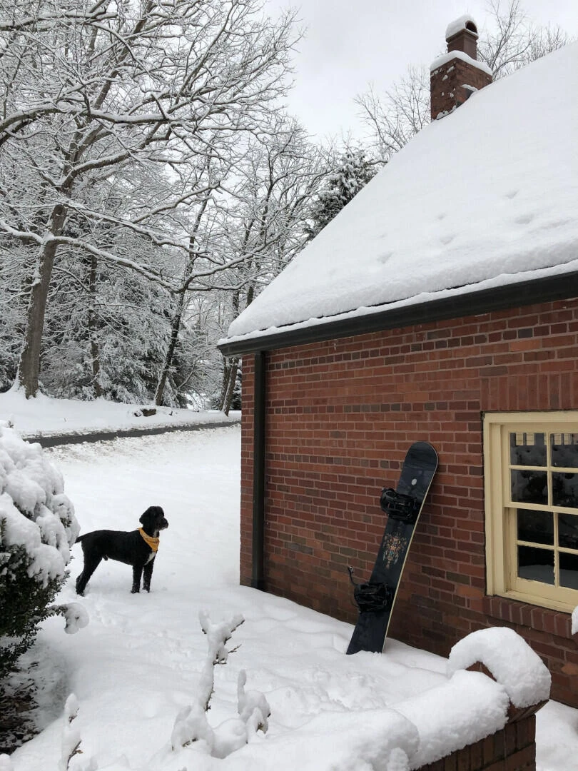 180 Park LN - Photo 49