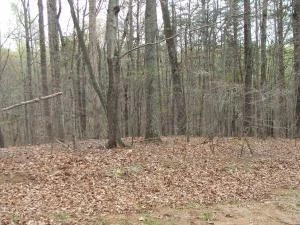 Lot 32 Scruggs RD