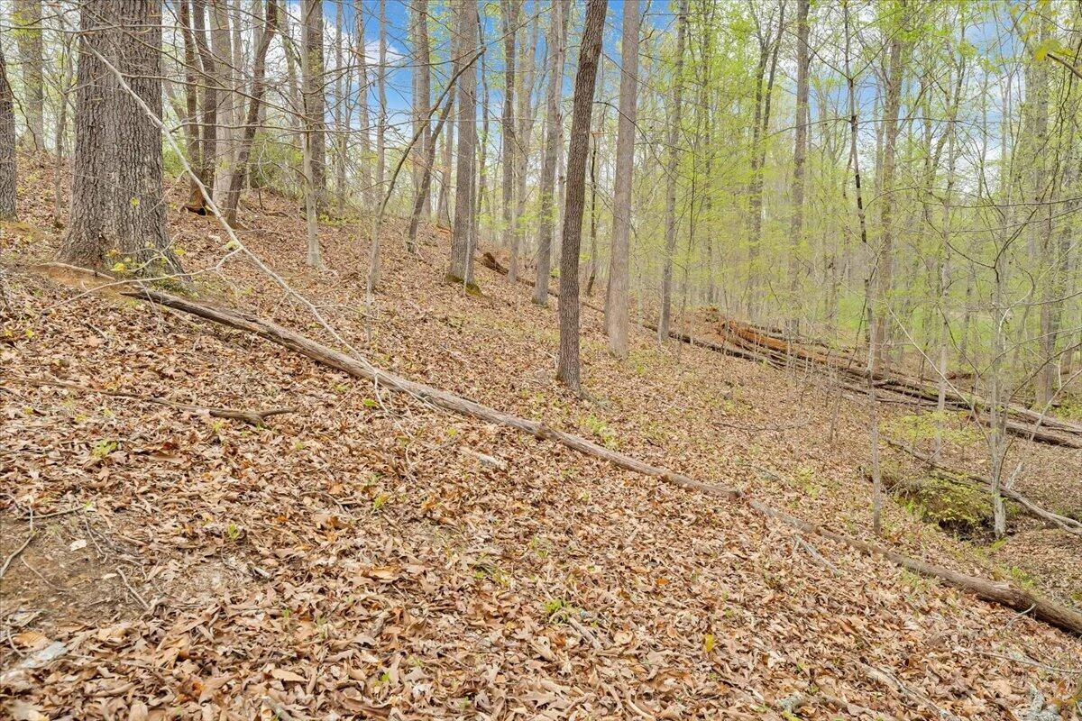 0 Red Barn LN - Photo 47