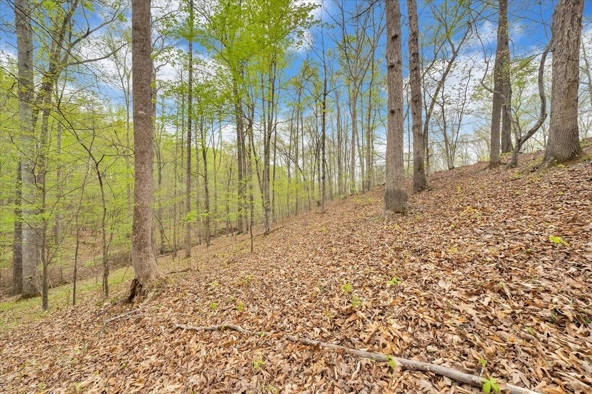 0 Red Barn LN - Photo 48