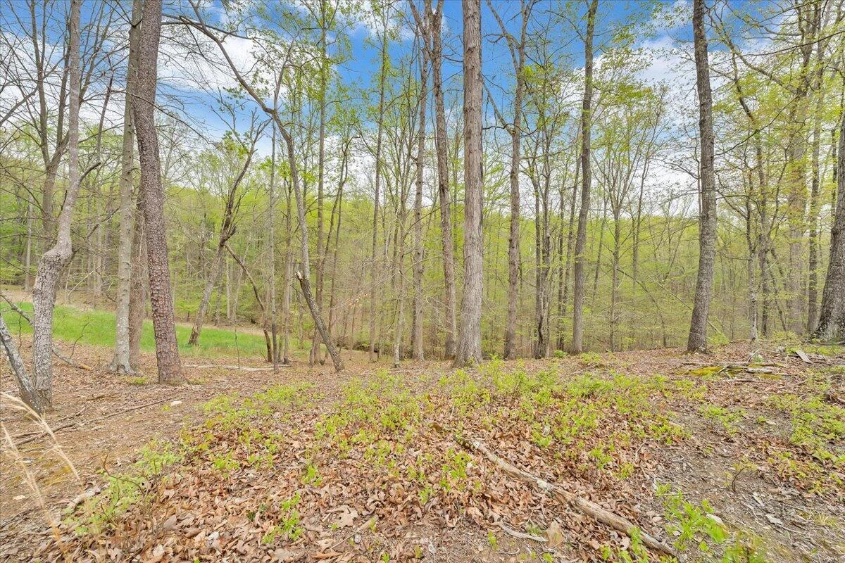 0 Red Barn LN - Photo 49