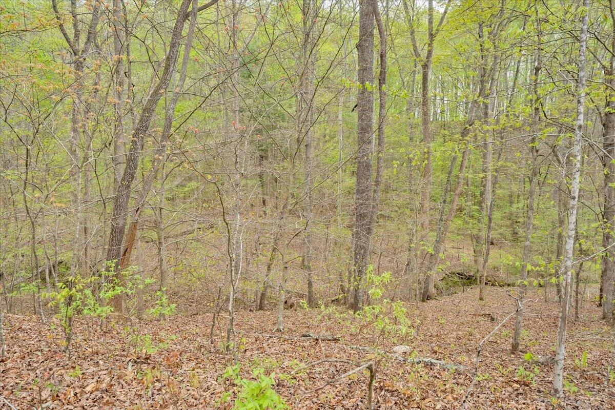 0 Red Barn LN - Photo 51