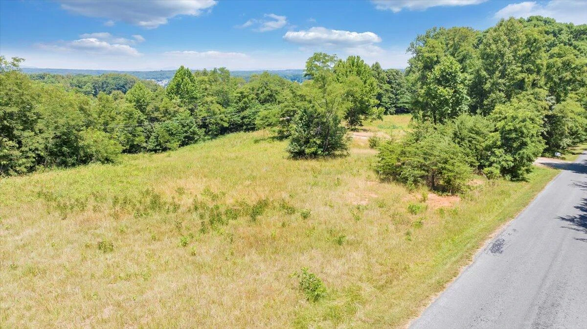 Lot 1 Piney Point RD - Photo 47