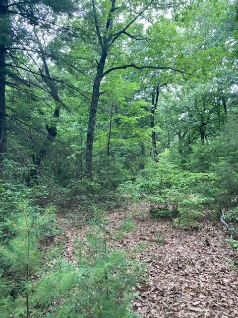 0 Ridgefield LN - Photo 2