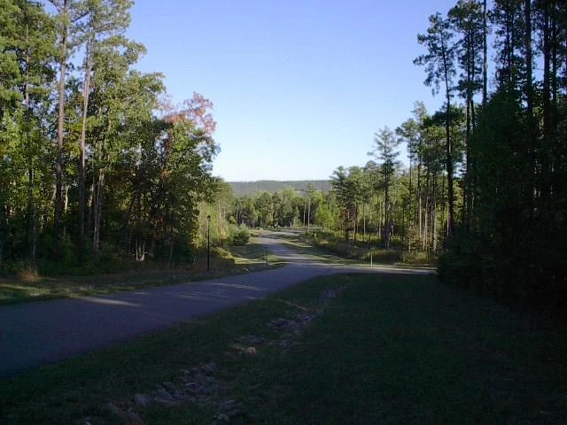 Lot 122 Chase Run - Photo 29