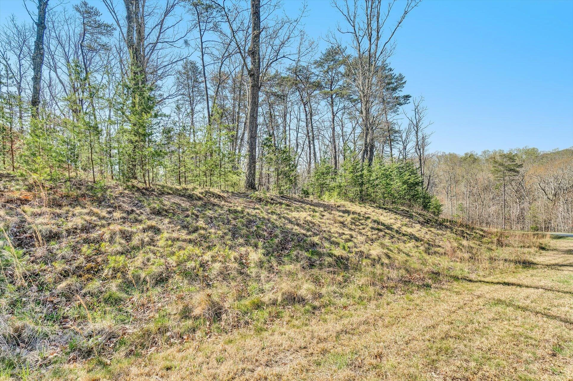 3625 Ballyhack TRL - Photo 8