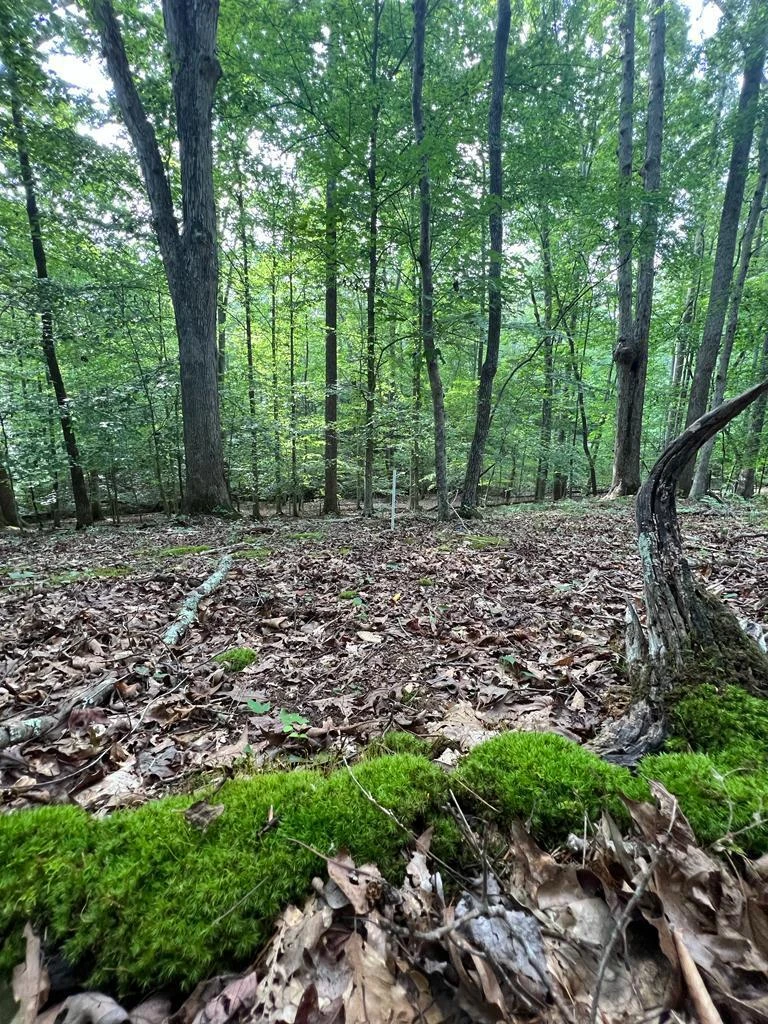 Lot 12 Red Barn LN - Photo 14