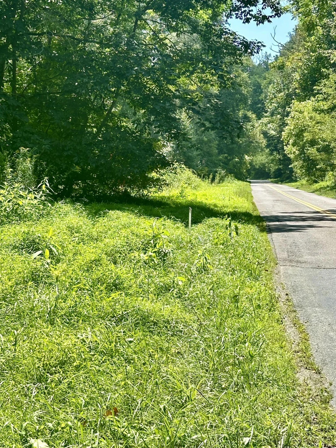 0 Callaway RD