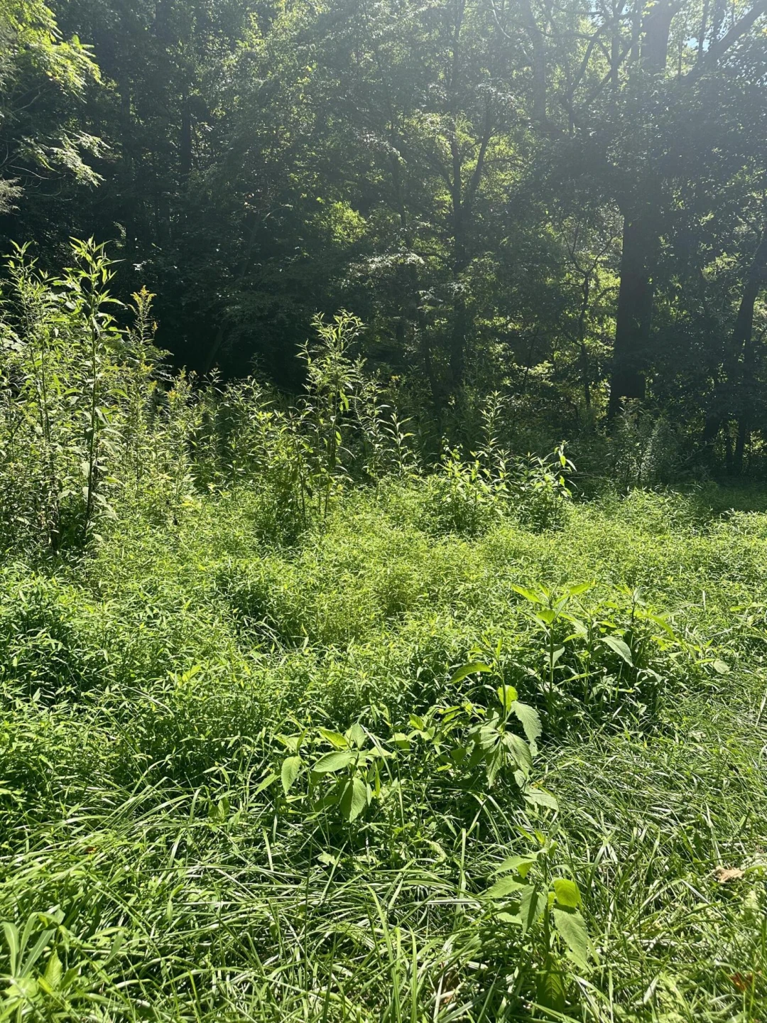 0 Callaway RD - Photo 2