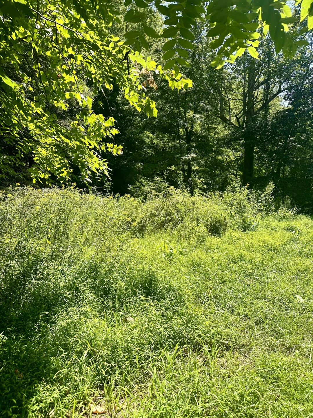 0 Callaway RD - Photo 4