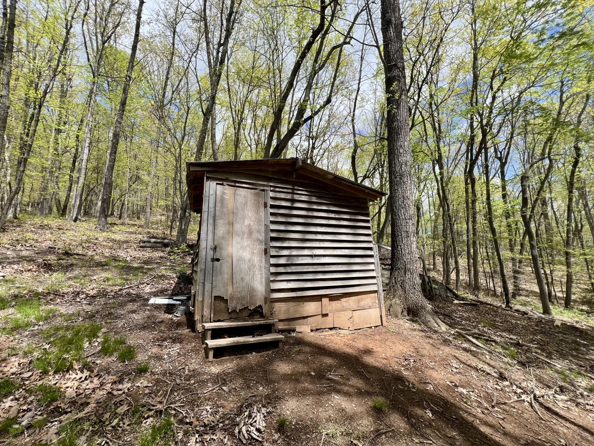 3002 Old Waiteville RD - Photo 22