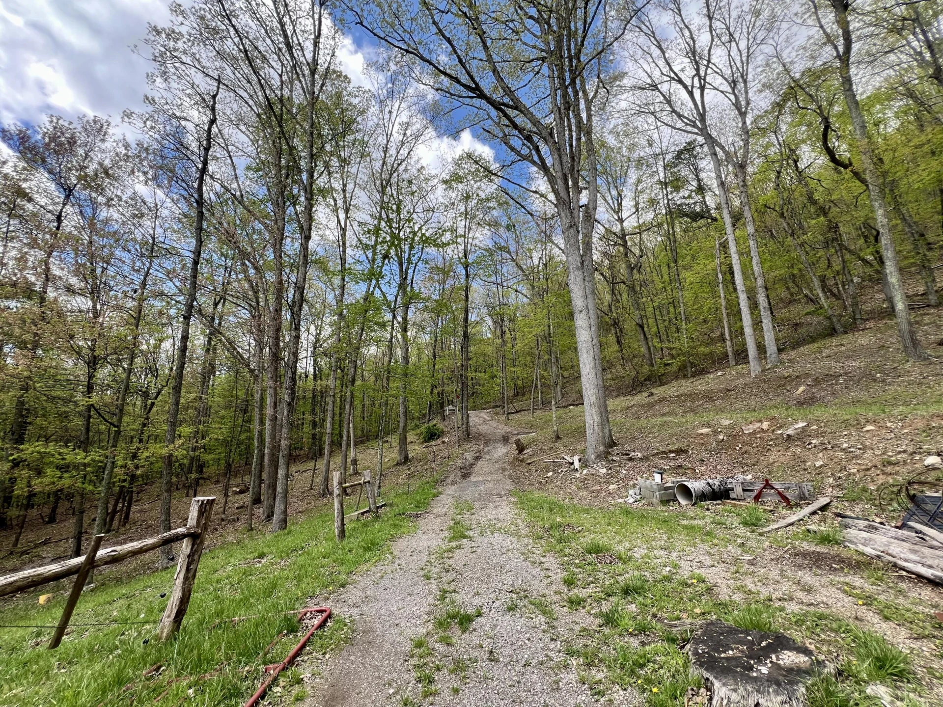 3002 Old Waiteville RD - Photo 39