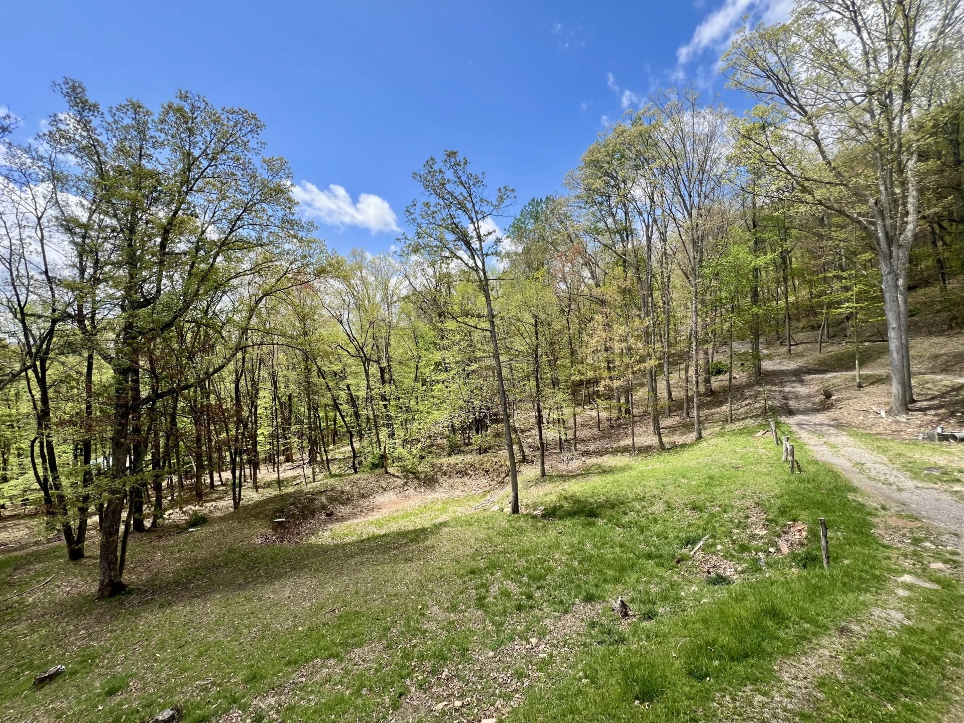 3002 Old Waiteville RD - Photo 6
