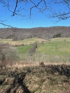 Lot 13 Little Mountain RD