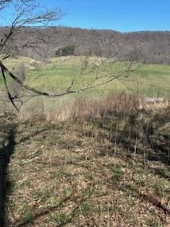 Lot 13 Little Mountain RD - Photo 11