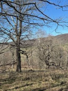 Lot 13 Little Mountain RD - Photo 12