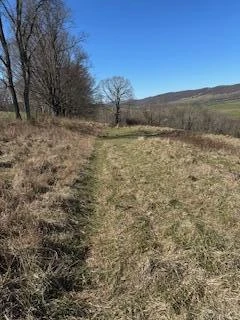 Lot 13 Little Mountain RD - Photo 13