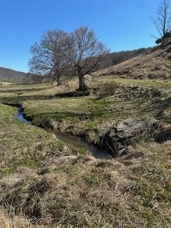 Lot 13 Little Mountain RD - Photo 14