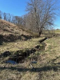 Lot 13 Little Mountain RD - Photo 15