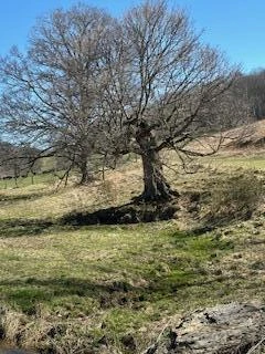 Lot 13 Little Mountain RD - Photo 17