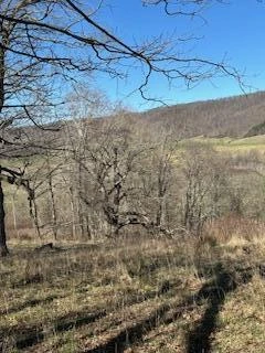 Lot 13 Little Mountain RD - Photo 4