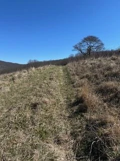 Lot 13 Little Mountain RD - Photo 5