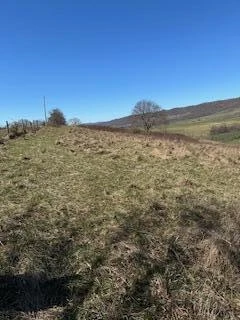 Lot 13 Little Mountain RD - Photo 6