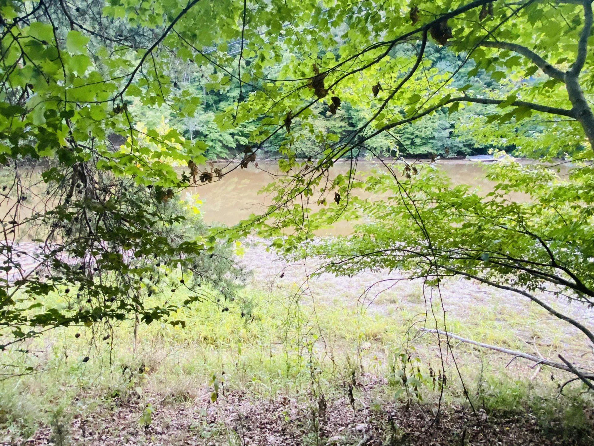 Lot 3 Cedar Bluff LN - Photo 10