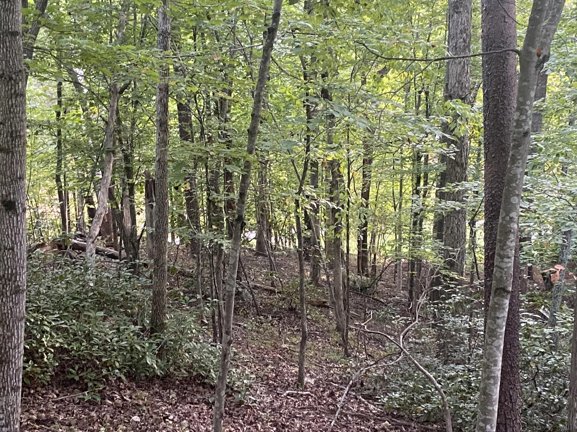 Lot 3 Cedar Bluff LN - Photo 11