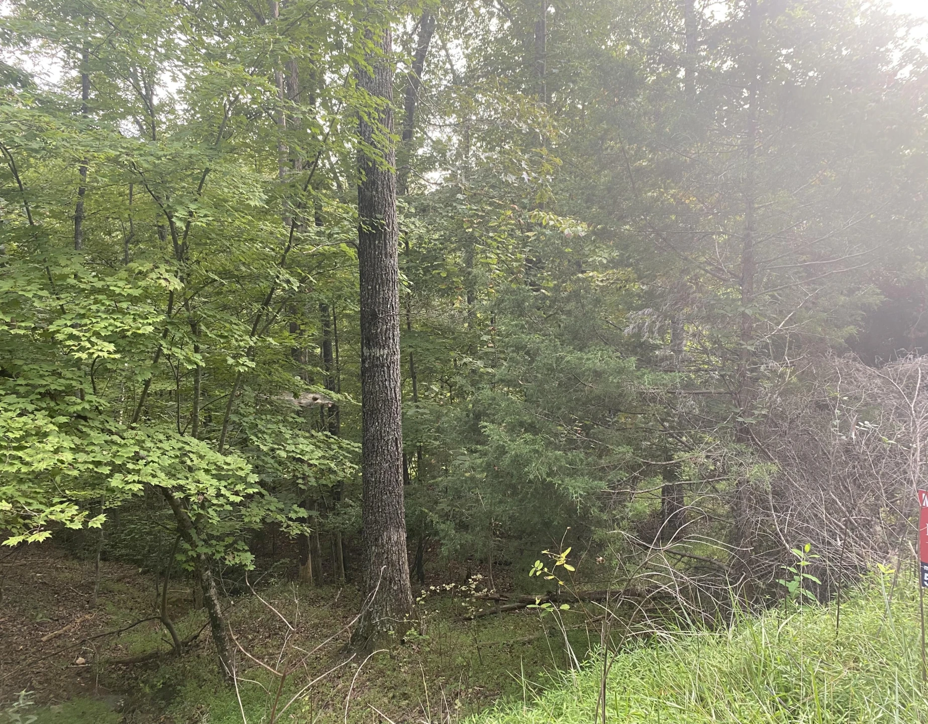Lot 3 Cedar Bluff LN - Photo 3