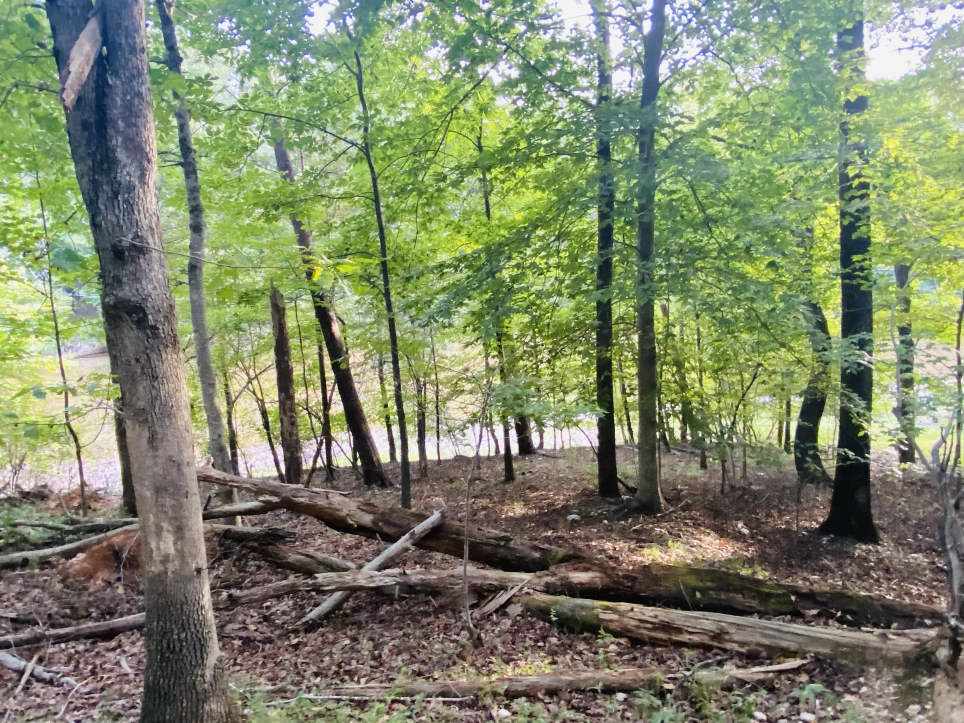 Lot 3 Cedar Bluff LN - Photo 4