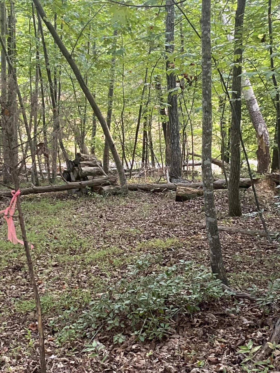 Lot 3 Cedar Bluff LN - Photo 5