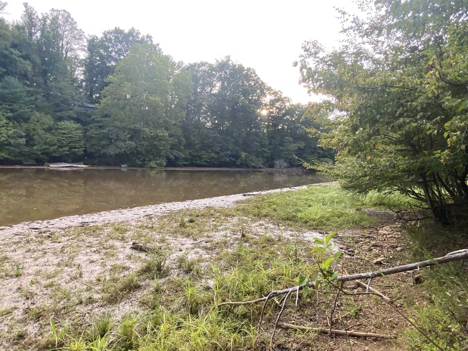 Lot 3 Cedar Bluff LN - Photo 8