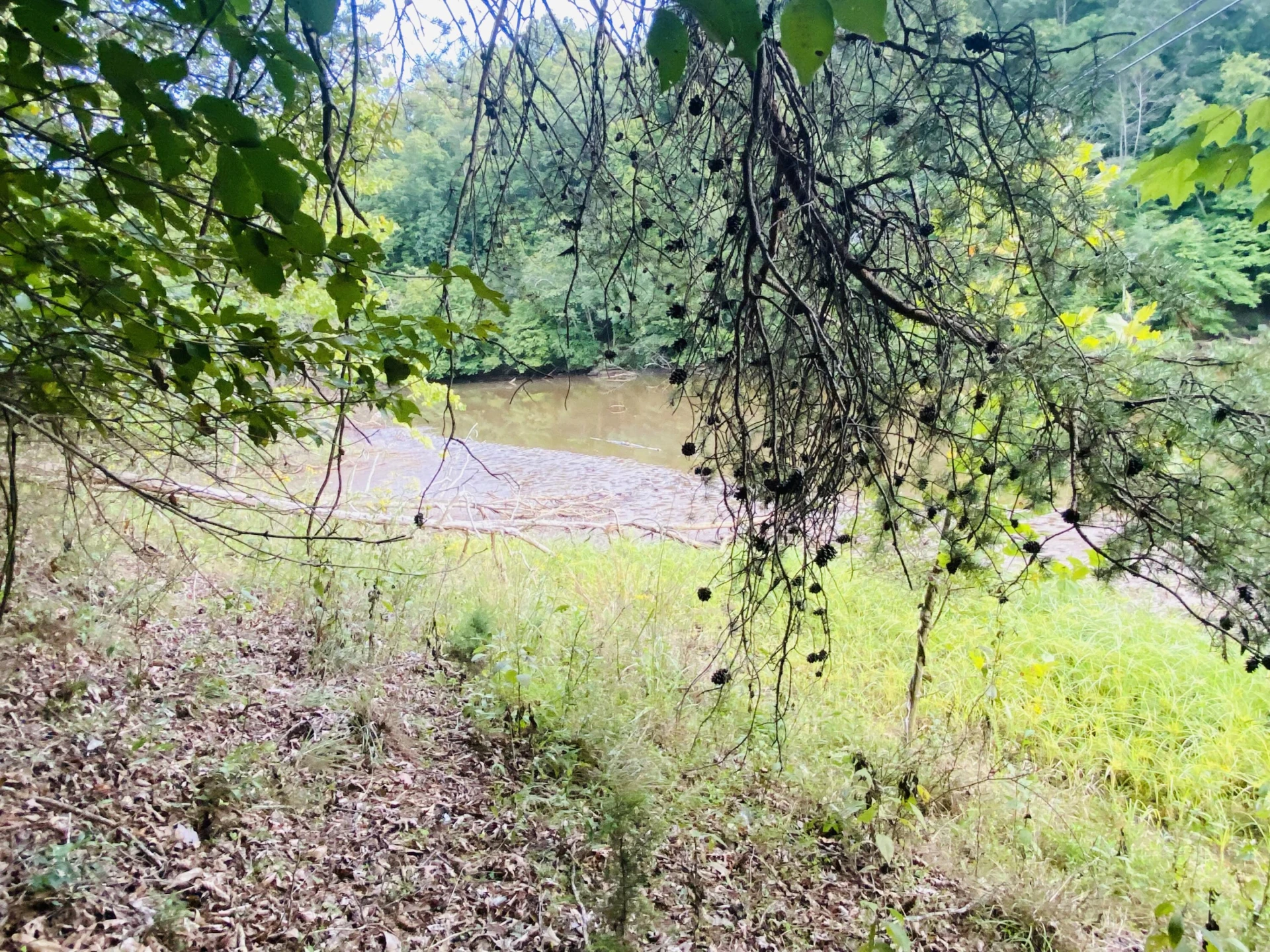 Lot 3 Cedar Bluff LN - Photo 9
