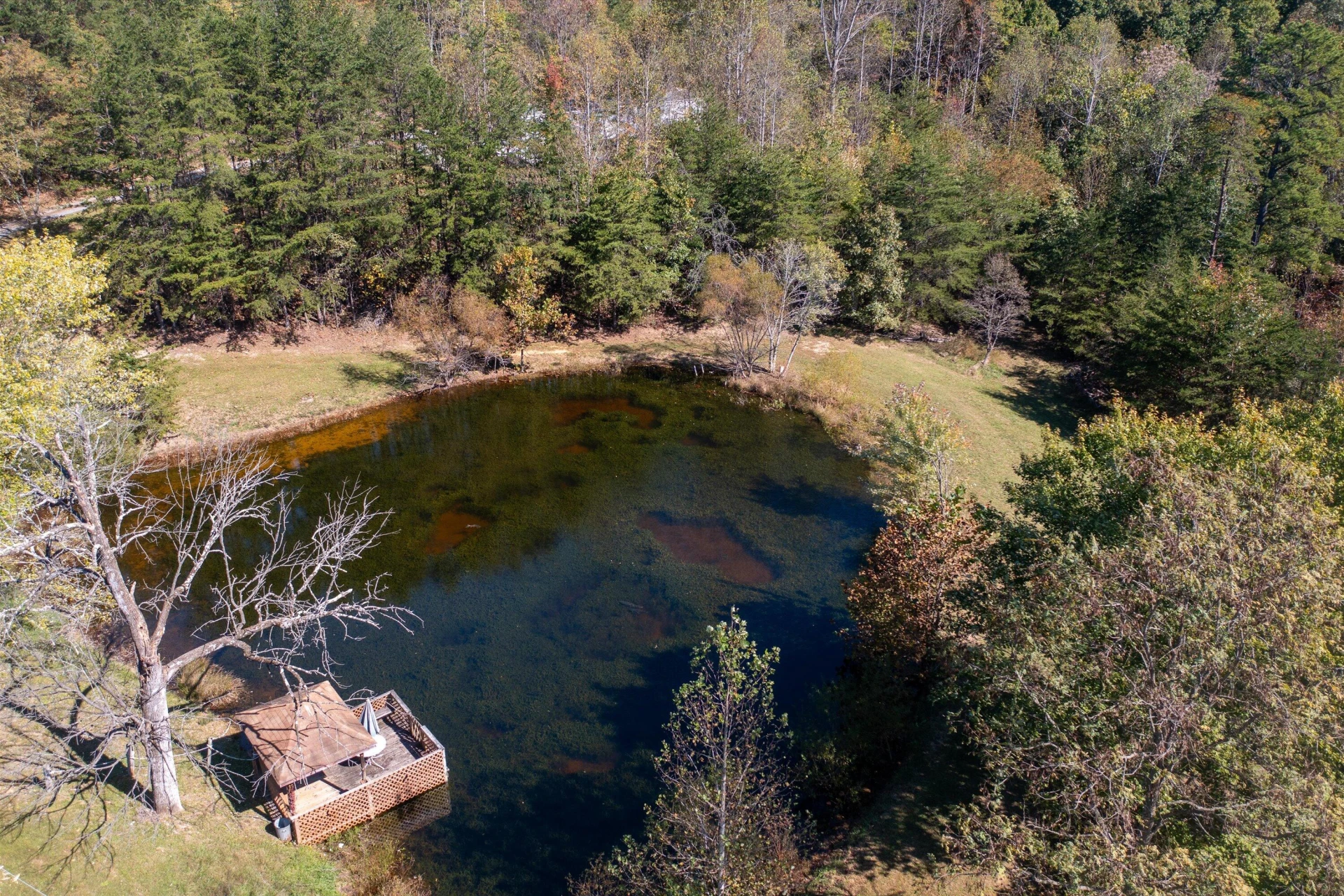 1155 Gaston RD - Photo 33