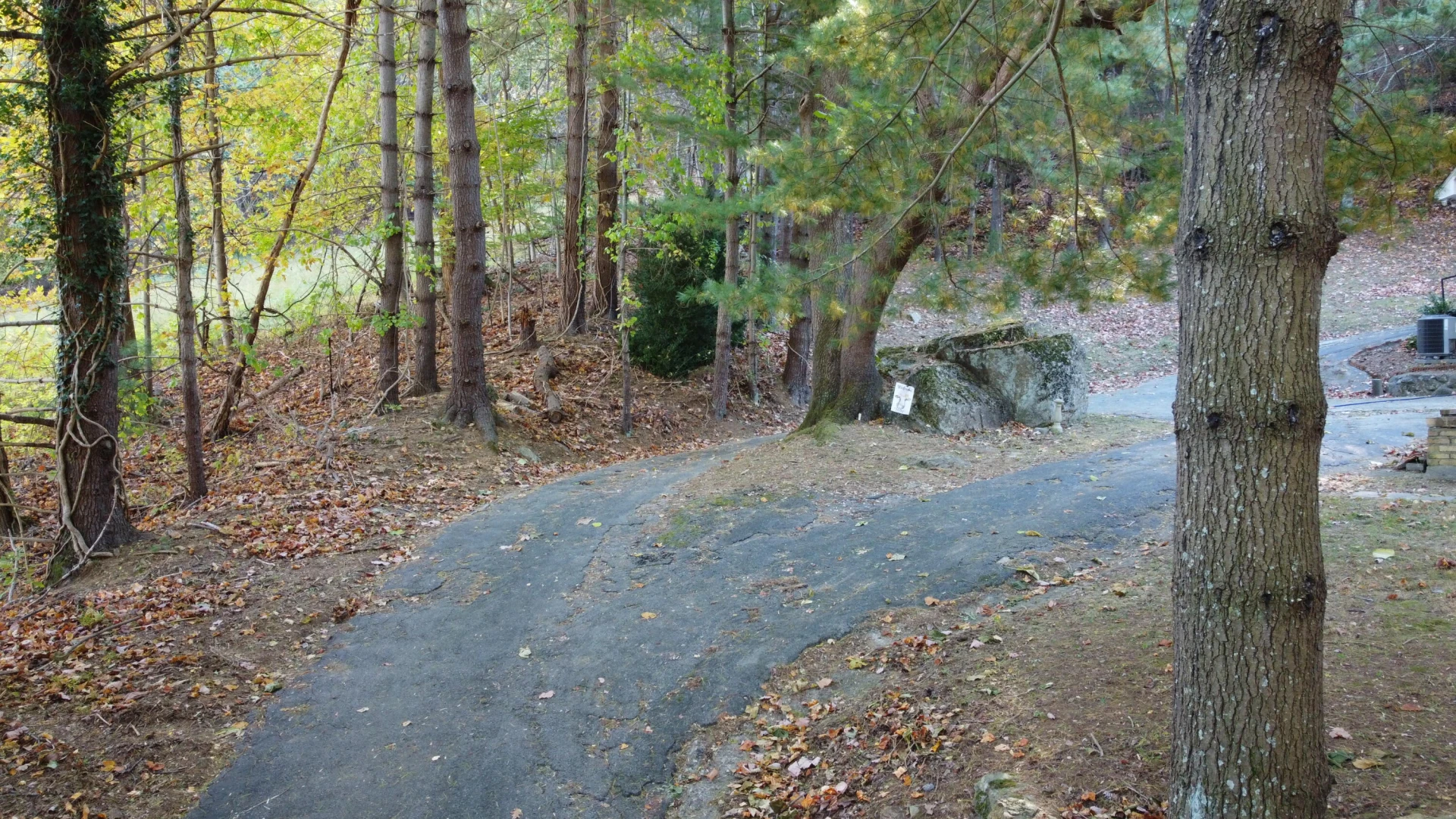 7464 Marie DR - Photo 3