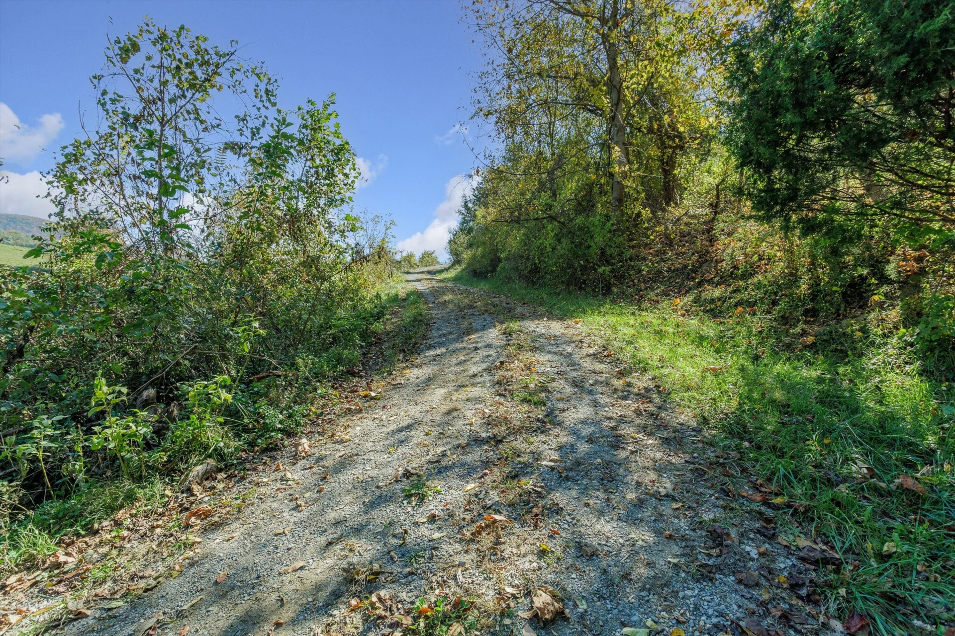 0000 Lee Hwy - Photo 30