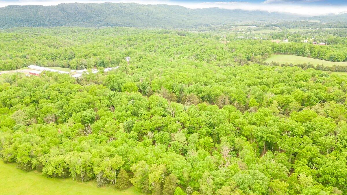 11131 Acorn LN - Photo 55