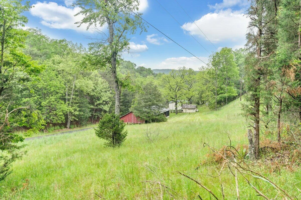 11131 Acorn LN - Photo 40