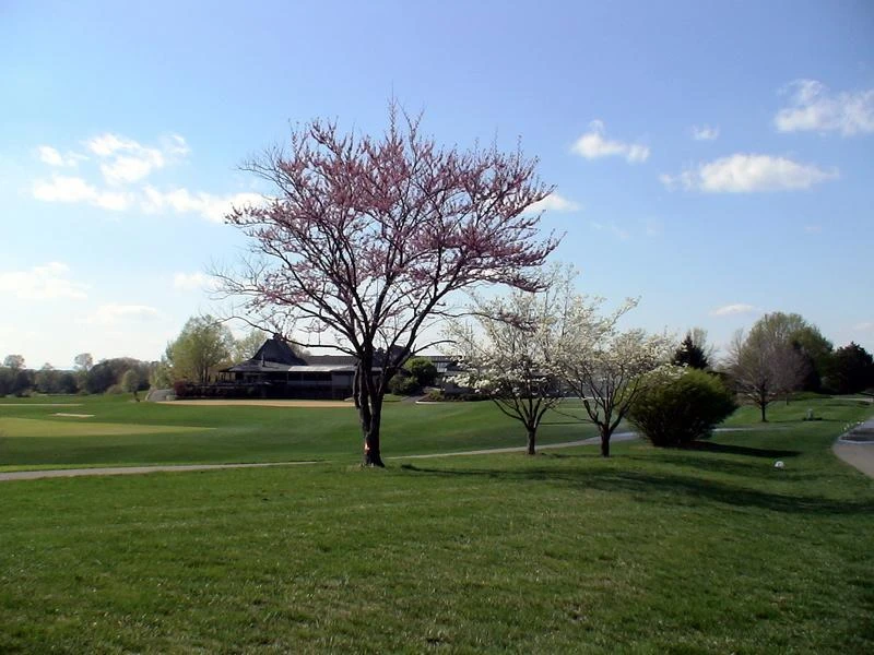 LOT 377 Morgans Mill DR - Photo 4