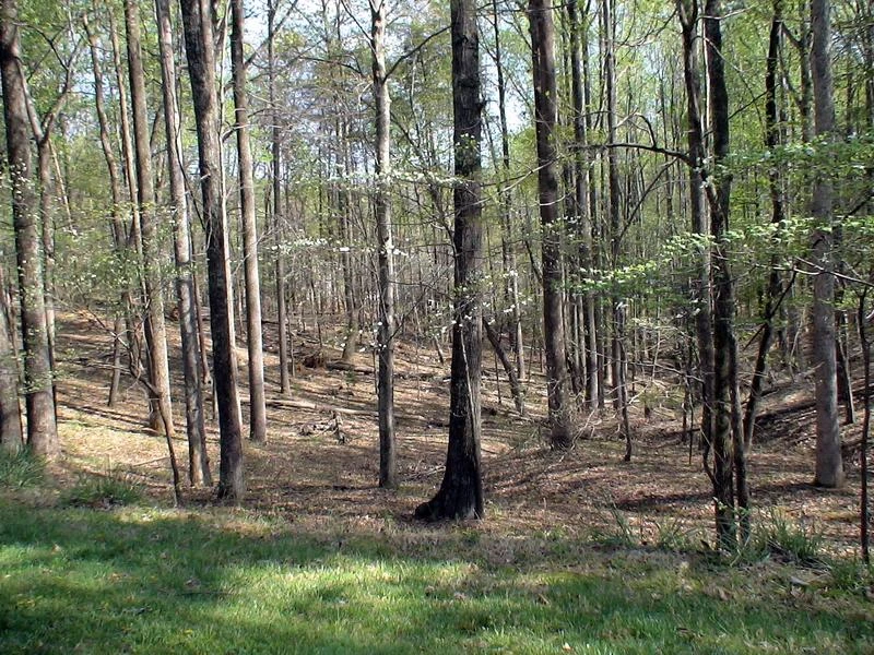 LOT 377 Morgans Mill DR - Photo 6