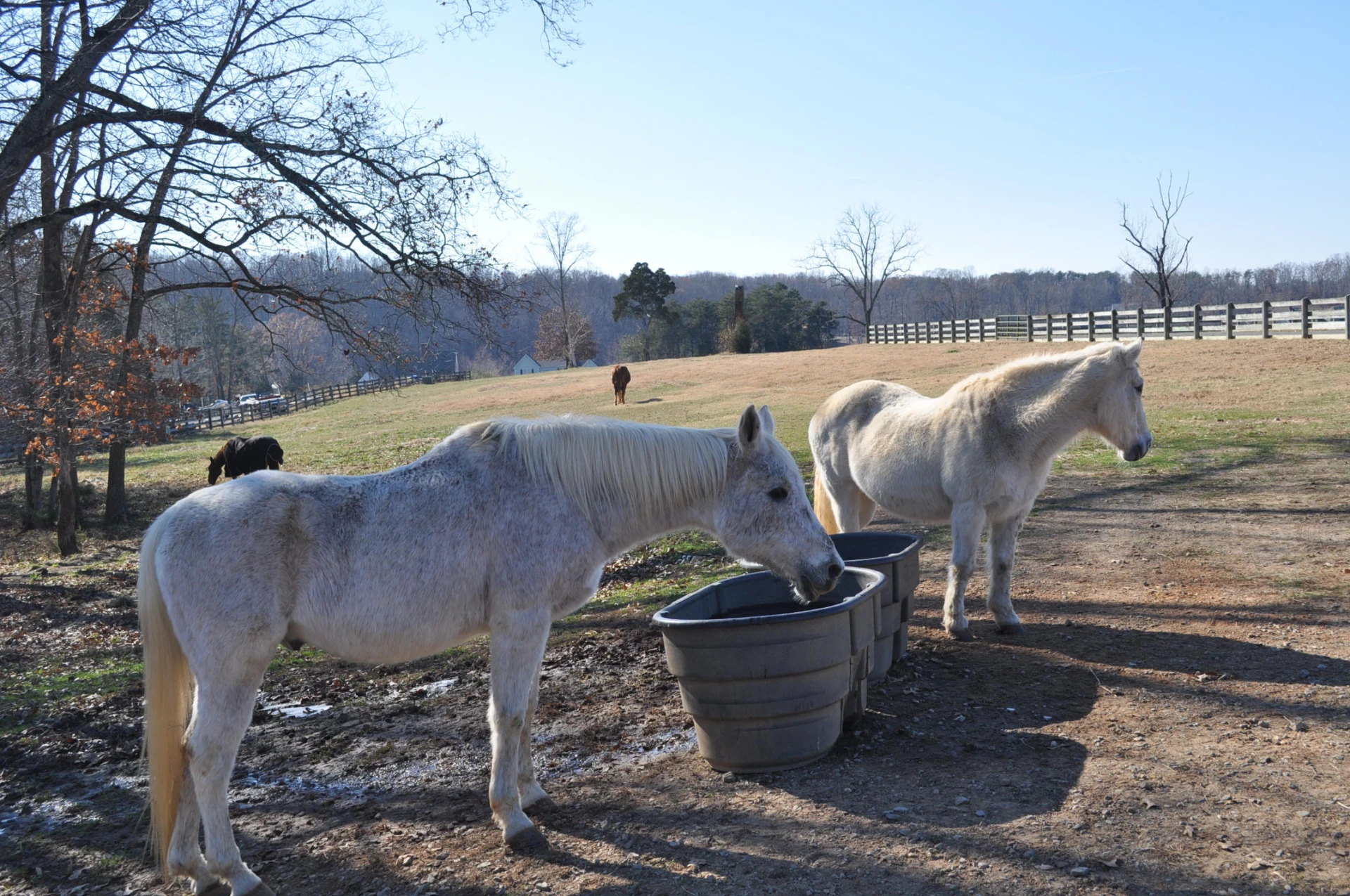 LOT 377 Morgans Mill DR - Photo 8